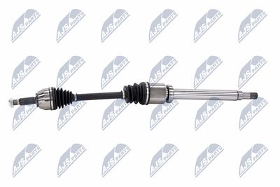 PLANETARA NTY NPWFR054 24