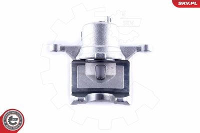 Brake Caliper 55SKV271