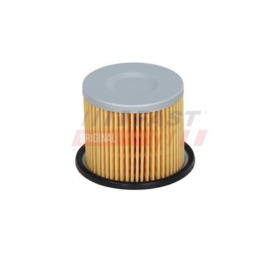 Palivový filter FAST FT39026