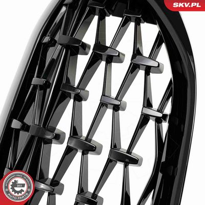 GRILA RADIATOR ESEN SKV 66SKV141 5