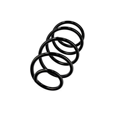 ARC SPIRAL EIBACH R10489 2