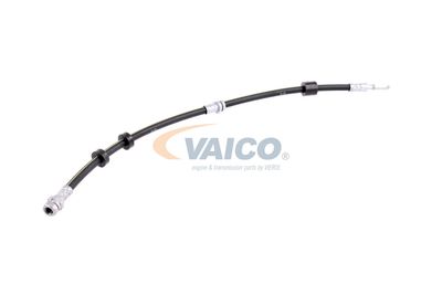 FURTUN FRANA VAICO V101320 46