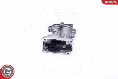 EGR Valve 14SKV160