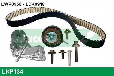 WASSERPUMPE + ZAHNRIEMENSATZ