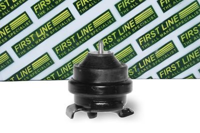 окачване, двигател FIRST LINE FEM3102