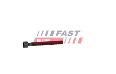 SURUB SUPORT INJECTOR FAST FT12959 13