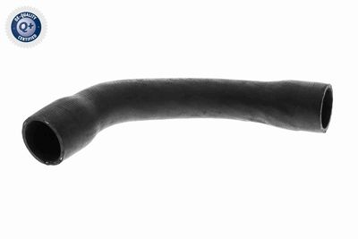 KüHLERSCHLAUCH VAICO V303548