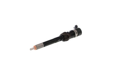 INJECTOR REMANTE 002003000030R 61