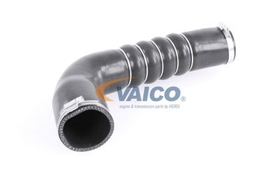 FURTUN EAR SUPRAALIMENTARE VAICO V103794 56