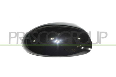 ACOPERIRE OGLINDA EXTERIOARA