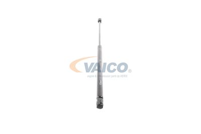 GASFEDER KOFFER-/LADERAUM VAICO V220219 49