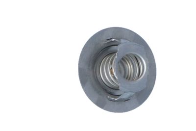 TERMOSTAT LICHID RACIRE NRF 725141 32