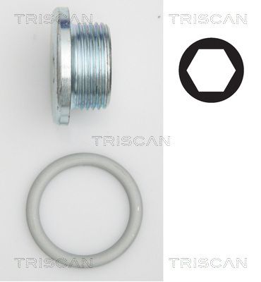 TRISCAN 9500 2904 Пробка поддона  для AUDI V8 (Ауди В8)