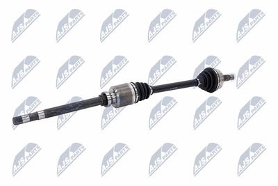 PLANETARA NTY NPWCT181 3