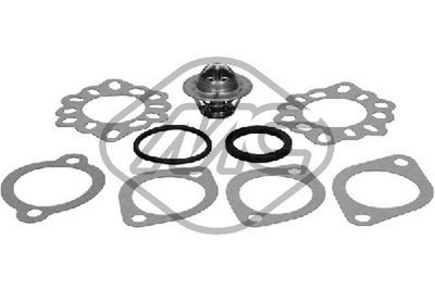 TERMOSTAT LICHID RACIRE