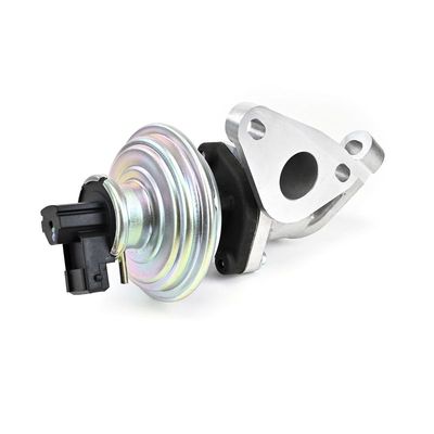 SUPAPA EGR DELPHI EG1062512B1 12