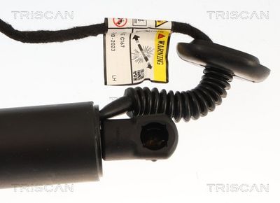Plynárenská vzpera (pneumatická pružina), zavazadlový priestor TRISCAN 8710 23324
