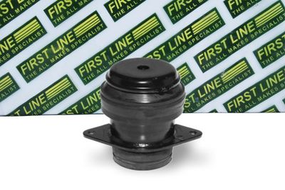окачване, двигател FIRST LINE FEM3124
