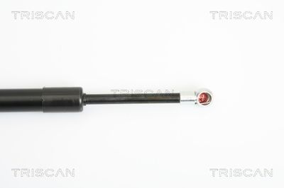 AMORTIZOR PORTBAGAJ TRISCAN 871029274 2