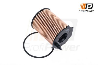 alyvos filtras 1F0097 ProfiPower