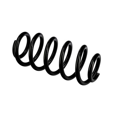 ARC SPIRAL EIBACH R10137 21