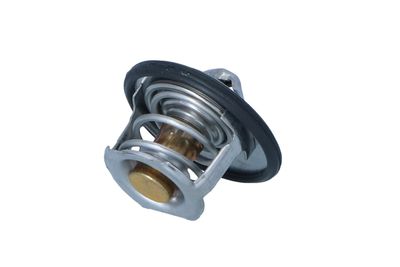 TERMOSTAT LICHID RACIRE NRF 725305 20