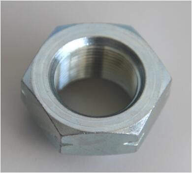 RADMUTTER CORTECO 19017101 1