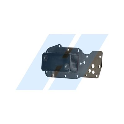 360 Grad Ansicht 5