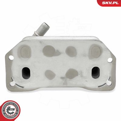 RADIATOR ULEI ULEI MOTOR ESEN SKV 31SKV341 2