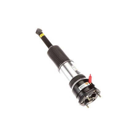 LUFTFEDERBEIN Arnott AS2856 68