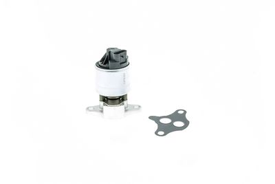 AISIN ERG vožtuvas