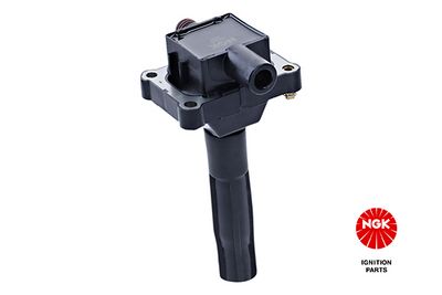 Ignition Coil 48018