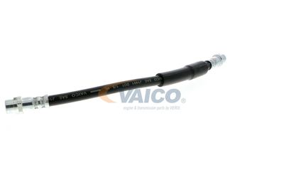 FURTUN FRANA VAICO V104119 30