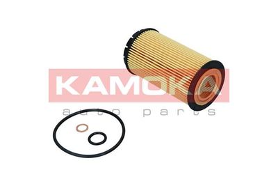 Oil Filter F120401