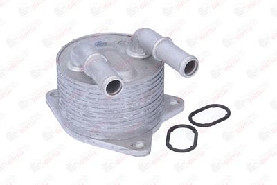 RADIATOR ULEI ULEI MOTOR BIRTH 80874 12
