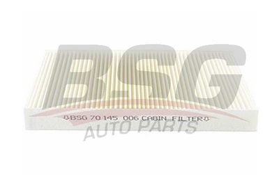BSG BSG70-145-003Кабинный фильтр для PEUGEOT