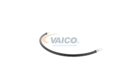 FURTUN FRANA VAICO V309926 41