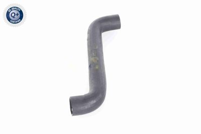 KüHLERSCHLAUCH VAICO V303549 8