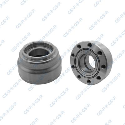 SET RULMENT ROATA GSP 9255001