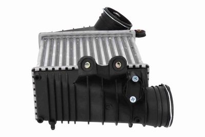 LADELUFTKüHLER VEMO V15606033 6