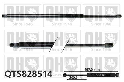 Газовая пружина, крышка багажник QUINTON HAZELL QTS828514 для FORD MONDEO