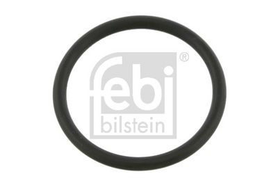 DICHTRING HYDRAULIKFILTER FEBI BILSTEIN 11673