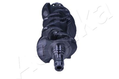 ARBORE COTIT ASHIKA 18TY007 2