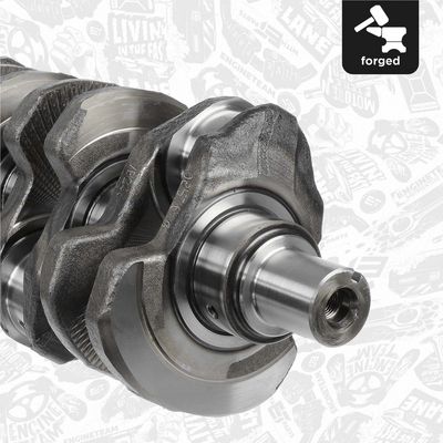 ARBORE COTIT ET ENGINETEAM HK0165 3