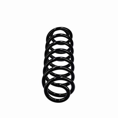 ARC SPIRAL EIBACH R21213 1