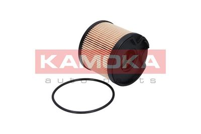 Fuel Filter F305101