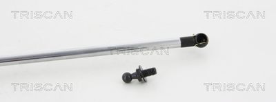 AMORTIZOR PORTBAGAJ KAWE 871068211 2