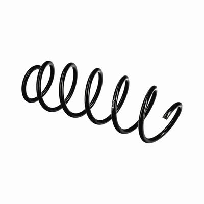 ARC SPIRAL EIBACH R11019 21