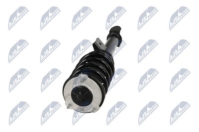 AMORTIZOR NTY ACH141 36