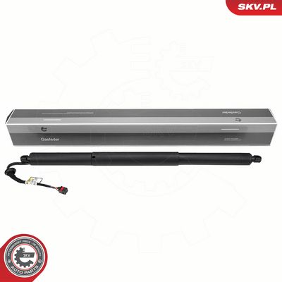 Elektromotor, zadní dveře ESEN SKV 52SKV219